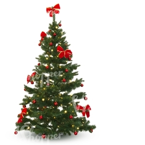decorated Christmas tree