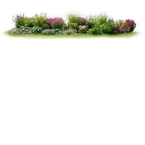 cut out composition of different flowers and plants