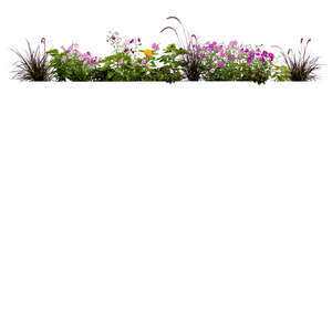 cut out flowerbed of different blooming flowers