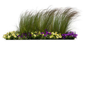cut out flowerbed with blooming flowers and ornamental grass