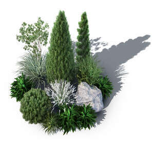 top view render of a composition of plants