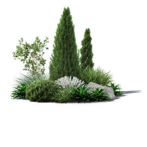 rendering of a composition of plants