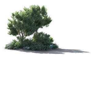 rendering of backlit composition of trees and bushes