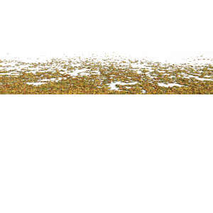 rendered ground with thick layer of yellow fallen leaves