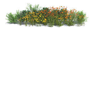 rendered composition of different blooming flowers and plants on transparent background
