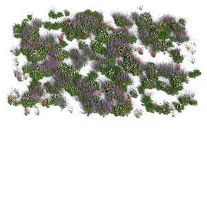 top view rendering of an area filled with different plants