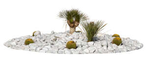 composition of rocks and tropical plants