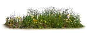 flowerbed with different plants and flowers