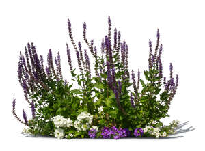 cut out group of flowers