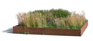 outdoor planter with different plants and grasses