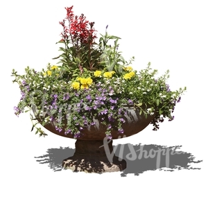 colorfol bouqet of flowers in a stone pot