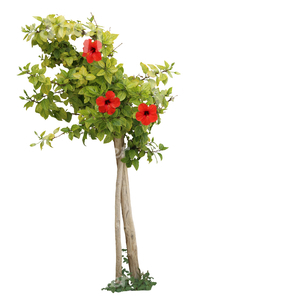 cut out plant with red blossoms