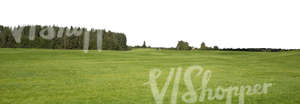 cut out background with hay field and a forest