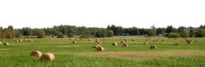 background with a harvested hayfield