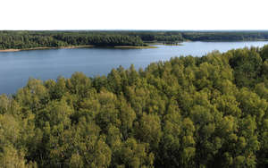 bird-eye view of a forest and lake