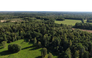 bird-eye view of a countryside