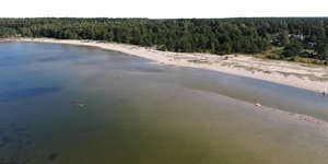 bird-eye background with beach and forest