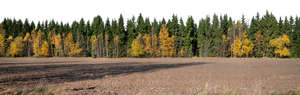 background with a field and forest in autumn