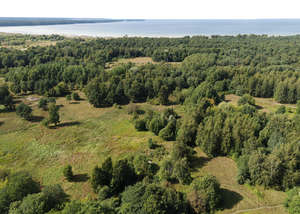 above view of a forest and lake