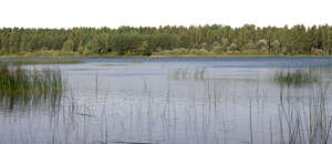 background with lake and forest