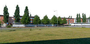 suburb houses with trees