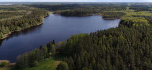 bird-eye view of a lake and forest