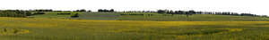 panoramic background of meadows and fields