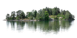 cut out small island with trees in the sea
