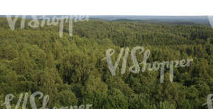 bird-eye view on a cut out background with forests