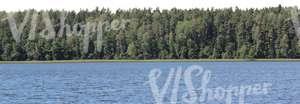 lake with a forest in the background