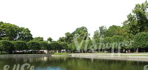 park with decorative trees and a pond