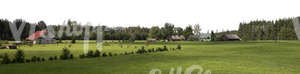 Cut out image of a countryside with houses and trees