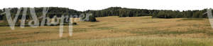 cut out background with a large hay field