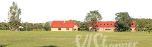 lawn with two houses in the background