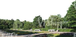 sidewalk with park benches and trees