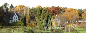 rural house and forest in autumn