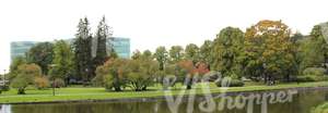 park with a pond and a building in the back