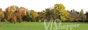 view on a park in autumn