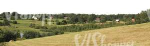 rural hillside with trees and meadows