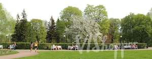 springtime park with benches and people