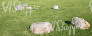 green lawn with a few big rocks