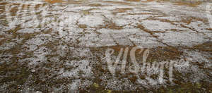 stony and mossy ground