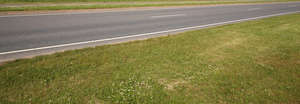 ground with a highway
