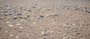 sandy and stony beach