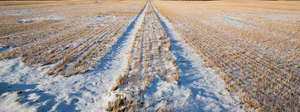 snowy field with tractor tracks