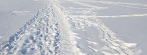 field of snow with a footpath