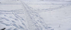 snowy field with a small footpath