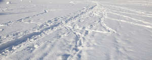 field of snow woth a narrow footpath