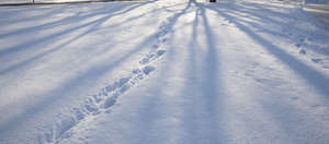 snowy park ground with shadows and footprints