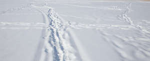 field of snow with a footpath